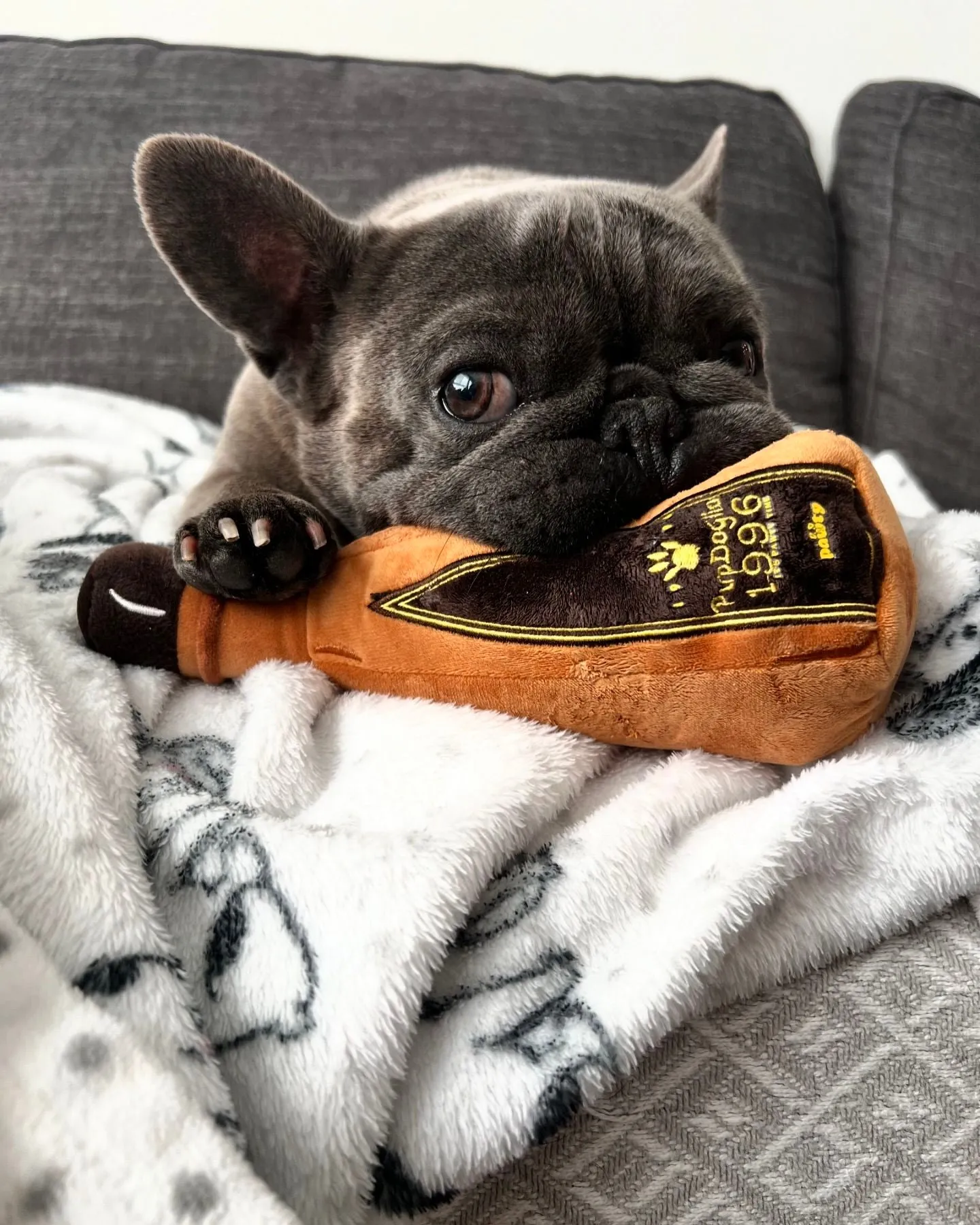 1996 TEQUILA PLUSH DOG TOY