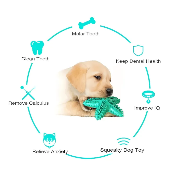 3 Pack Squeaky Dog Toothbrush Toys – Durable, Squeaky, and Perfect for Dental Health