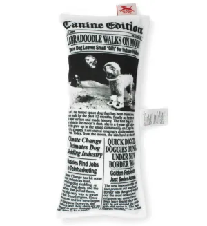 Doggy Fake News Toy