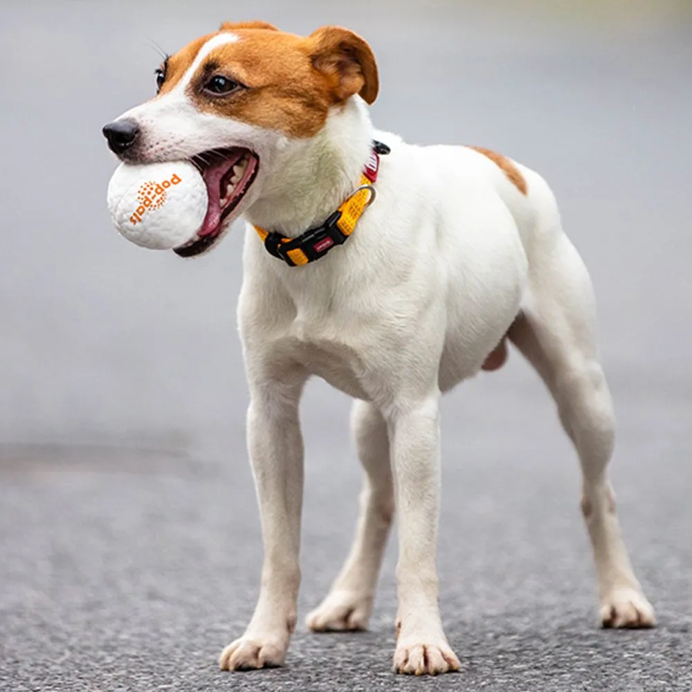 GiGwi Pop-Pals High Bounce Ball Dog Toy Small