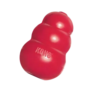 KONG Classic Dog Toy