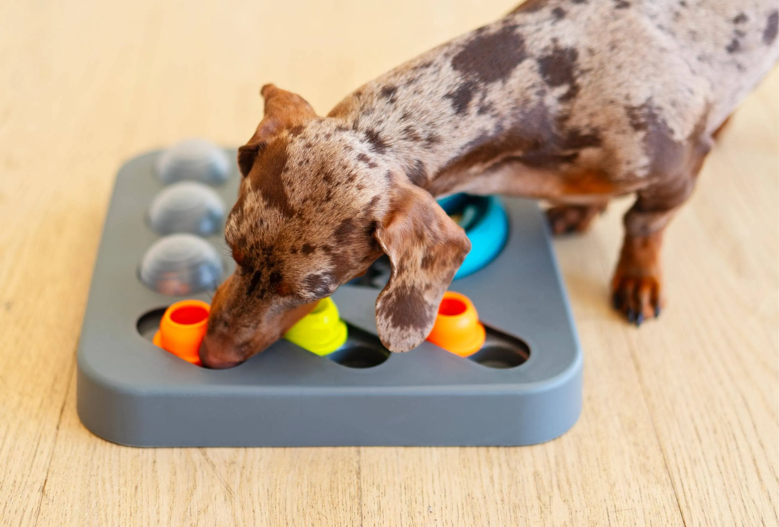Messy Mutts Flip'n Slide Puzzler, Medium, 12.5" x 12.5",Grey