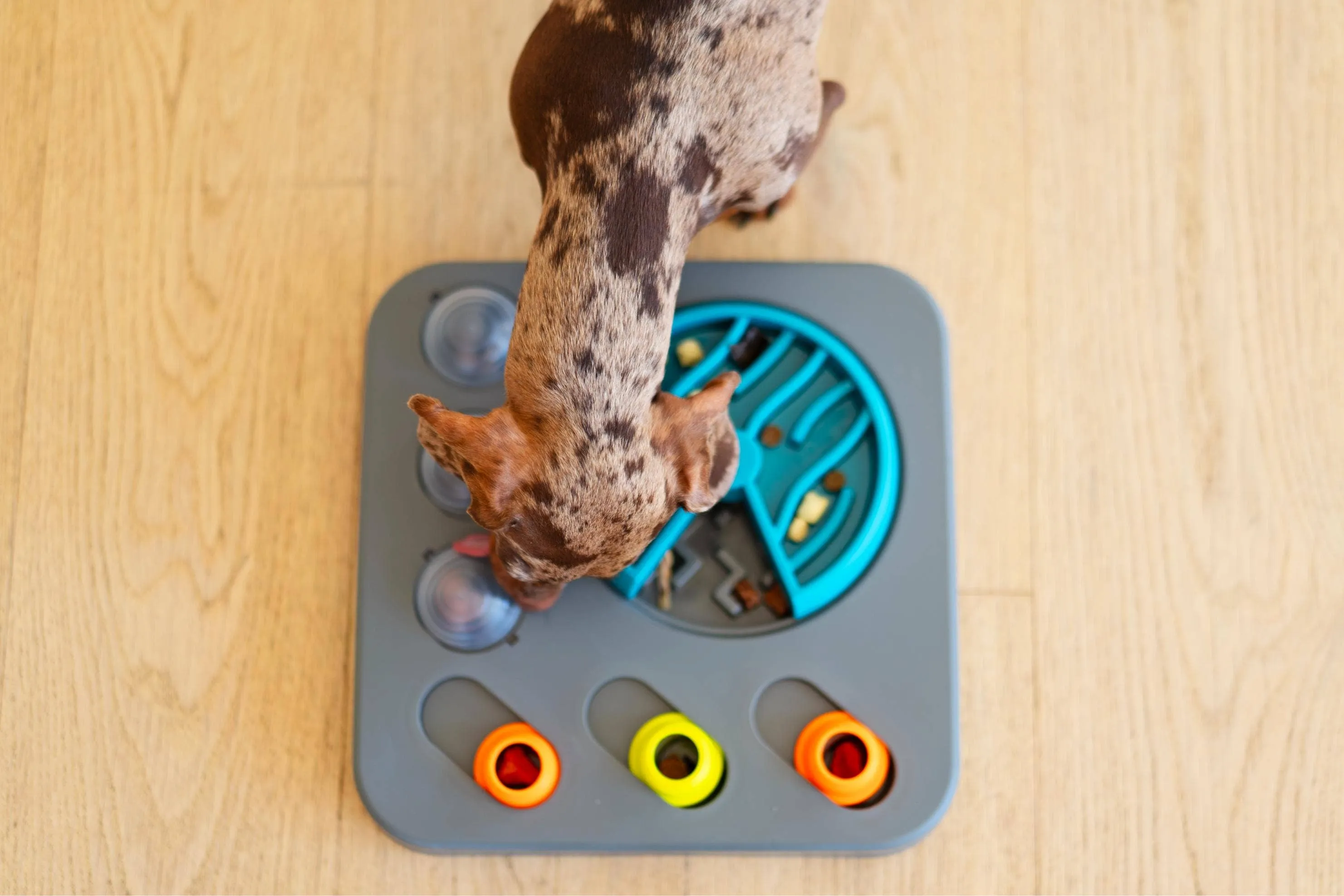 Messy Mutts Flip'n Slide Puzzler, Medium, 12.5" x 12.5",Grey
