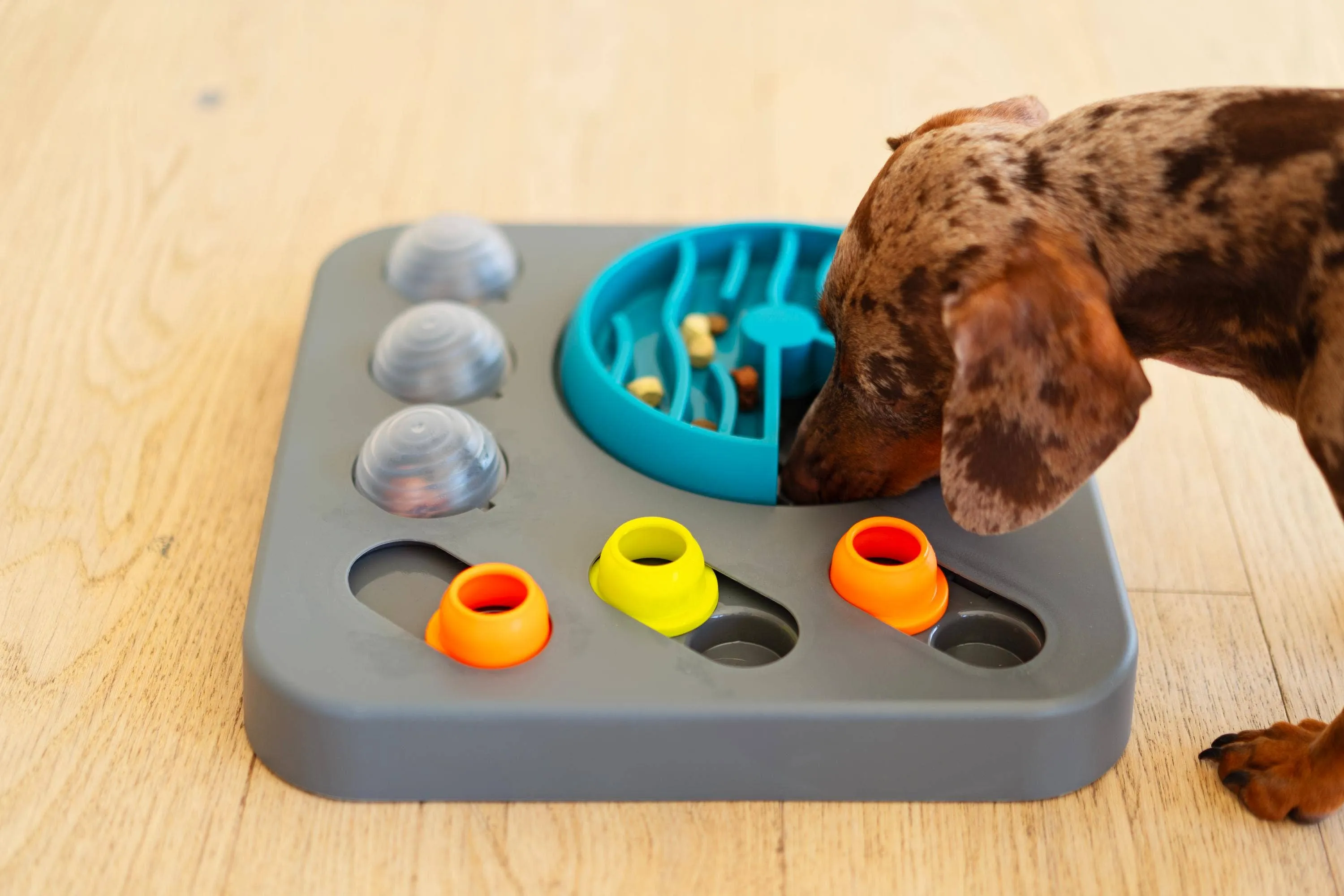 Messy Mutts Flip'n Slide Puzzler, Medium, 12.5" x 12.5",Grey