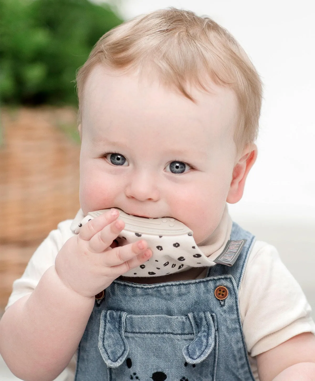 Neckerchew Teething Dribble Bib - Leopard Spot