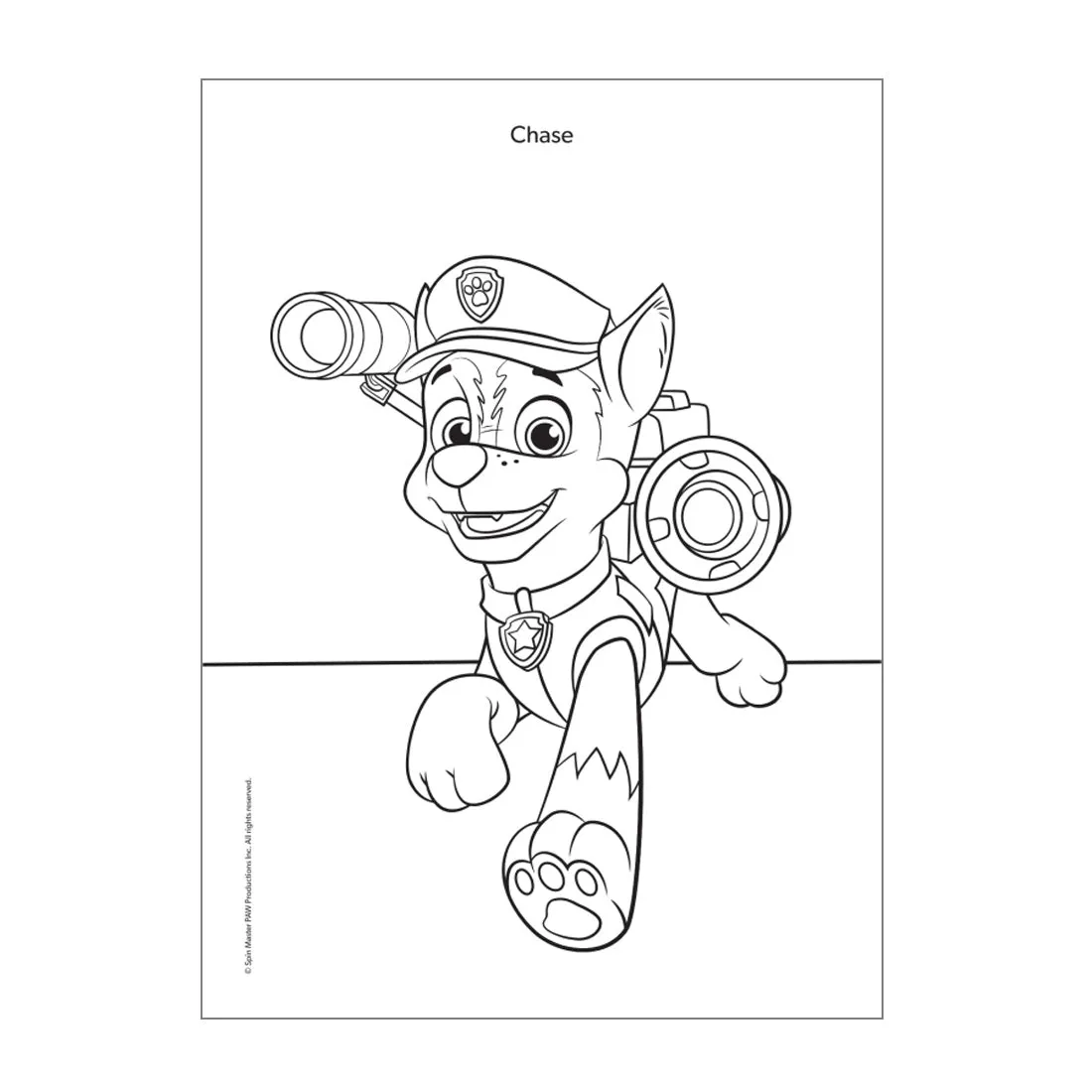 PAW Patrol: True Colors Activity Book