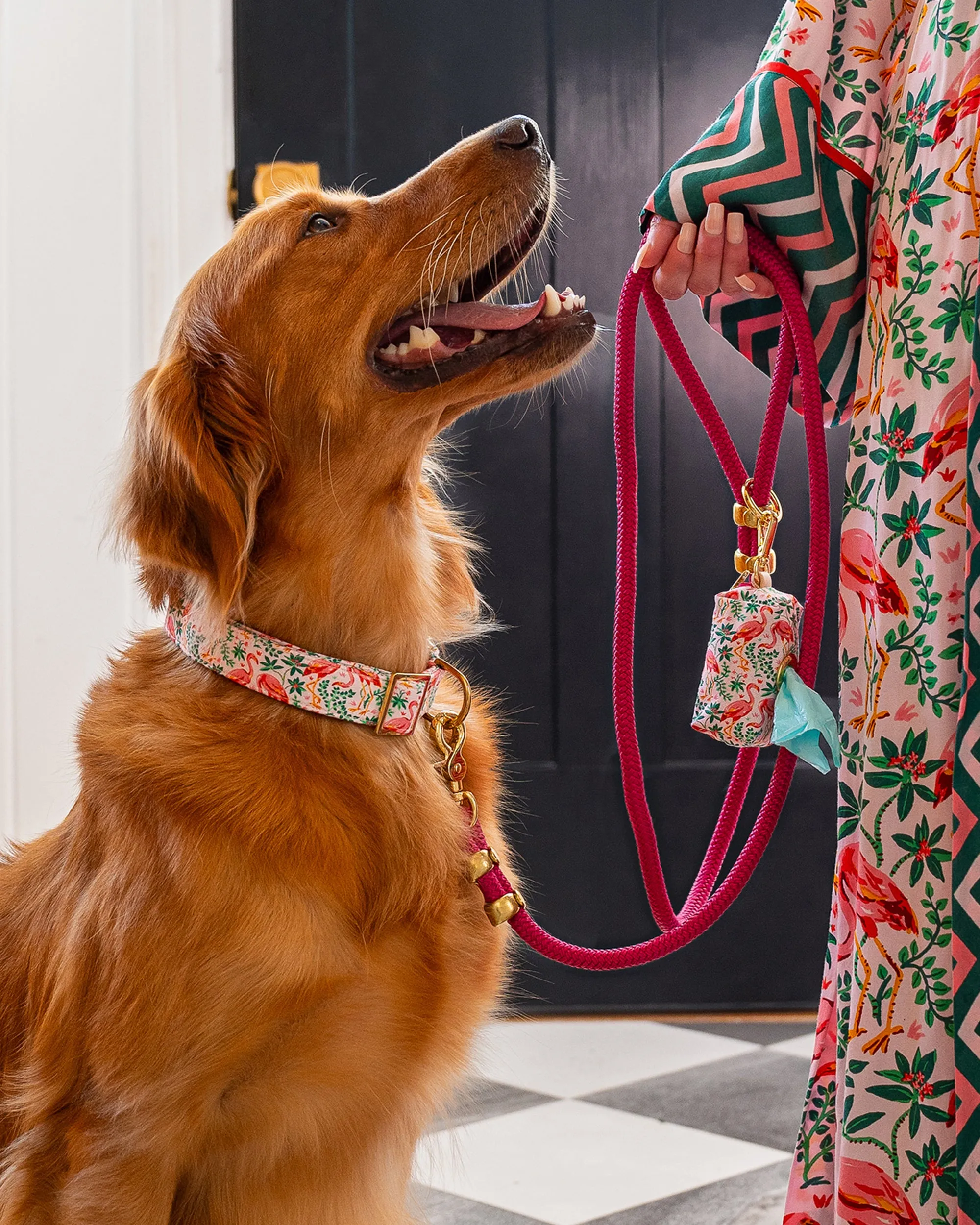 PF x The Foggy Dog - Marine Rope Dog Leash - Hot Pink