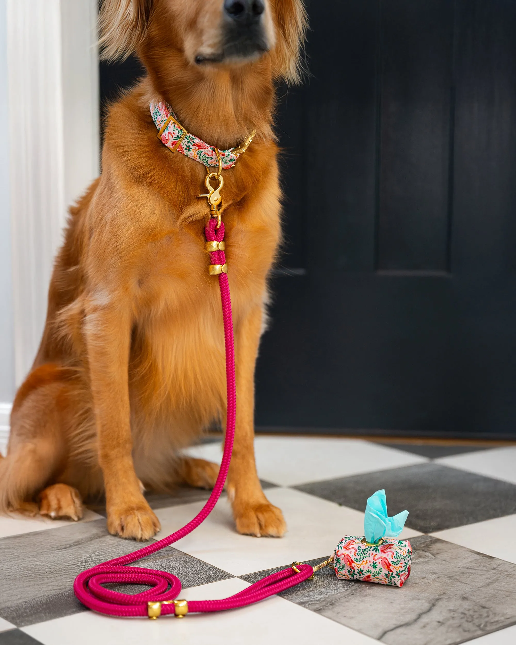 PF x The Foggy Dog - Marine Rope Dog Leash - Hot Pink