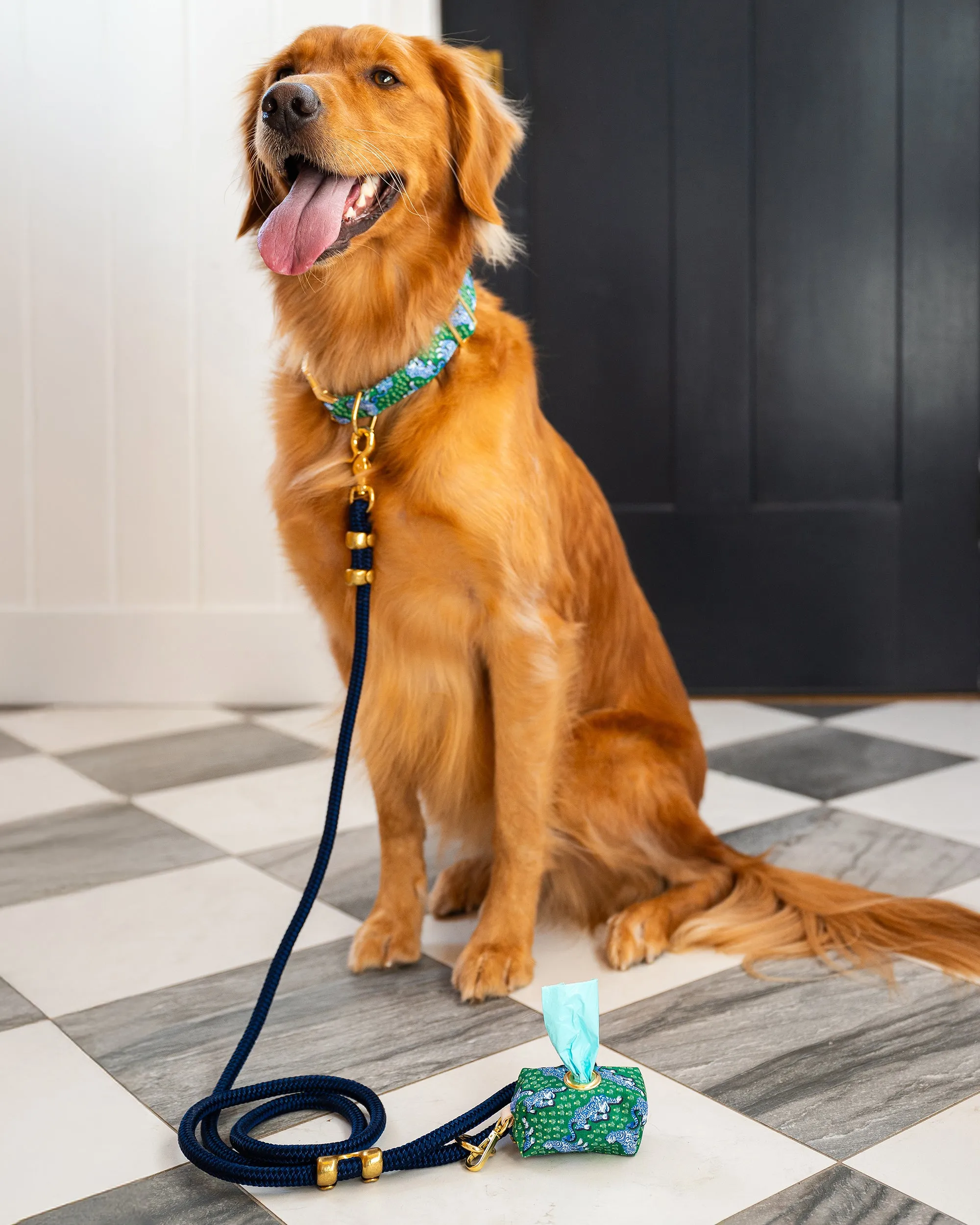 PF x The Foggy Dog - Marine Rope Dog Leash - Ocean
