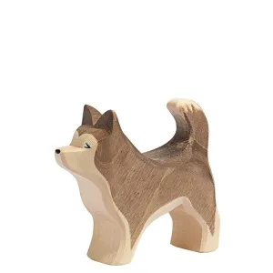 Sled Dog - Standing